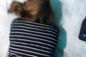 Pov doggystyle webcam sex with emo latina milf on big bed