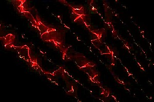 Milf177, cum up to see the view 😏