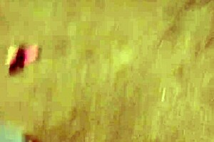 watch him suck my clit in homemade video