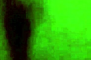 The couple deeply in love shares a chubby blowjob experience.