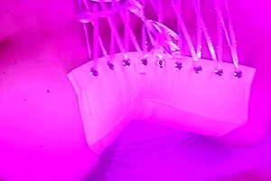 Latina milf waitress in new york bar gets fucked without protection, loving foreigners.