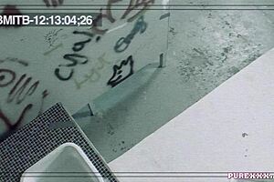 Hot brunette milf takes cock in the toilet