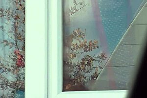 Driver, Oh My! Did You See That Naked Milf In Stockings Without Panties Washing The Window Publicly?