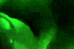 Hey, mase619 fucking cut foxxxy tail with buttplug anal and monster cock pov