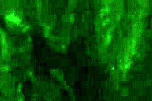 i love fuckin my self with that dildo close up