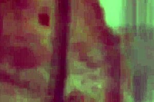 Nikki benz strips off seductively