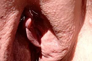 hey maturemons, why are you sunning that shaved vulva with big pussy lips out there?