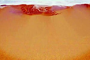 Bastidores features Tais Daeva, Lary Lacerda, and Frotinha in intense anal riding with Brazilian petite ass close up and bisexual kissing.