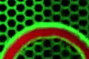 Why not dive into Sara Jay's steamy lesbian fantasy with a curvy partner?