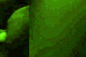 Isn't This Sexy Cougar Tempting You With Her Skilled Dick Sucking in POV?