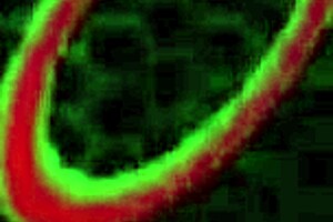 Whoa, busty Monica Santhiago takes that ass to mouth facial from Rome Major! 🔥🍑💦