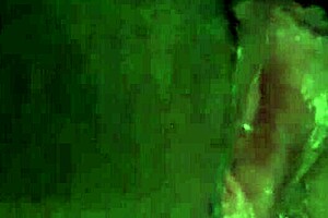 Hot wet Latina plays with creamy pussy until squirting.