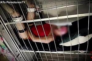 they captured this slut for annual insemination at the breeding farm