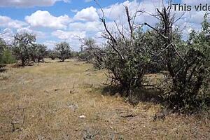 savannah vixen explores outdoor mature amateur adventures