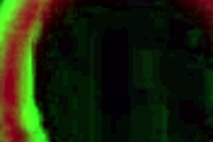 Melody Cummings takes creampie from Rome Major's big black cock in deepthroat cowgirl