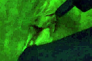 Hot wet Latina plays with creamy pussy until squirting.