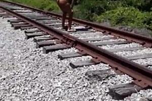 Fisherman finds stripper on the run and gives her a shower of dirtymoufpiece. She gets fucked hard outdoors in big ass ebony action.