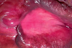 Amateur Pink Pussy Gets Licked And Fucked 215 Days After Losing Virginity In Close Up