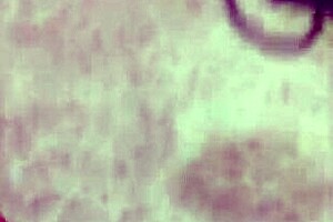 i couldnt stop squirting in threesome with massive bbc and fucking machine