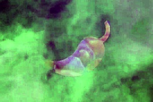 i swapped the shopping mall food court for the bathroom to get some milk, uh, yeah