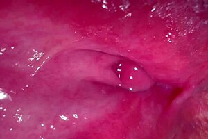 Amateur Pink Pussy Gets Licked And Fucked 215 Days After Losing Virginity In Close Up