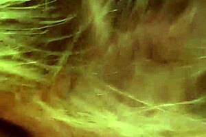 alineflavio - update 155 - 20240926 010535 - sep 26 2024