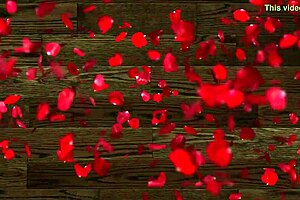 Mexican Milf's Big Ass SLUT Gets Tanga Removed in Hotel to TAKE His Cock in Her Eager Vagina