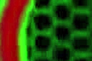 Oh man, I think I meant Nina Dolci's big tits and blonde ass in lesbian action with toys... wait, yeah, that's it with cunilingus.