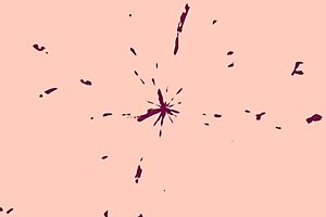 Amateur granny gets anal creampie from big cock 😈