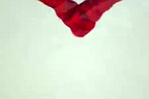 Agedlove tells how marc kaye and beau diamonds dive into hardcore blowjob with old milf energy in every thrust.