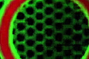 oh wow, naughty redhead penny pax is totally craving some cock as she works that big toy in her wet pussy