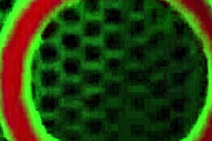 Dredd got massive cock for Sara Jay, she rides in doggystyle with deepthroat and curvy big ass action!