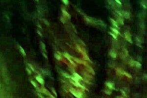 Hey, check out Natasha's sexy ass shaking wildly!