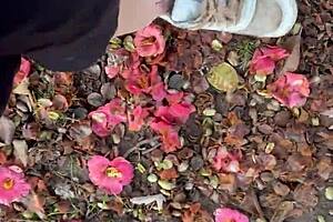 nice ride on a sunny day with european friends and family sharing laughs