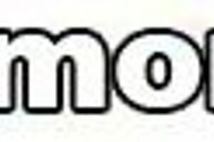 stop apologizing and start eating, as alexis fawx suggests in her advice