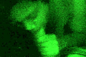 Filipina Milf Sucks That Morning Wood Hard!