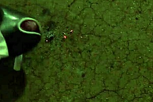 Celeste star and linsey mckenzie fuck on vintage car roof with stockings and pussy licking