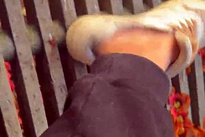 nice ride on a sunny day with european friends and family sharing laughs