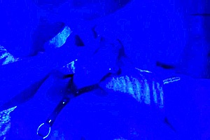 Submissive Milf Blowjob And Swallows Cum