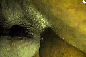 indian step family dives into hardcore sex alone at home in full hindi audio movie