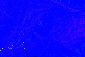 Submissive Milf Blowjob And Swallows Cum