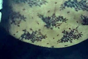 señora nalgona struts in shiny spandex