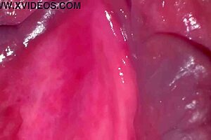 pink pussy of amateur wife gets licked and fucked close up after losing virginity