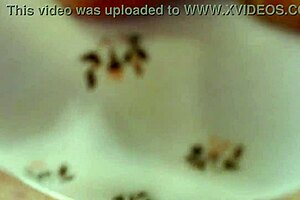 dawnskye1962 shares update 33 with 1250 pretty panties for john on may 23 2025