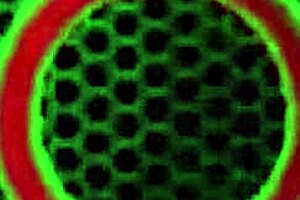 Samantha rone gives sensual pov handjob and sloppy blowjob to lucky mark white with big tits.