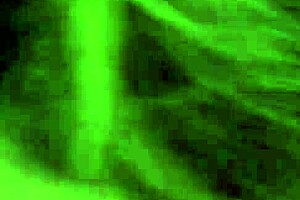 hey, french canadian mature milf handles my latin friend like a pro in that hotel room