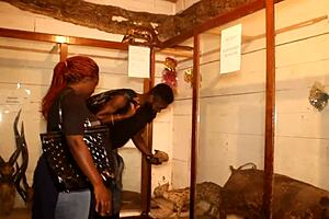 tourist fucks ebony milf in yaounde park publicly during african cup hardcore anal outdoors