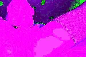 Pink dildo brings intense solo pleasure with hard wet cum