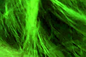 hey, french canadian mature milf handles my latin friend like a pro in that hotel room