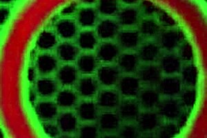 I love how cute blonde Brooke Logan drains Philly Jhon just with her feet